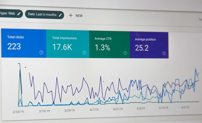 Google Display Ads campaign management on monitor for Goa business advertising
