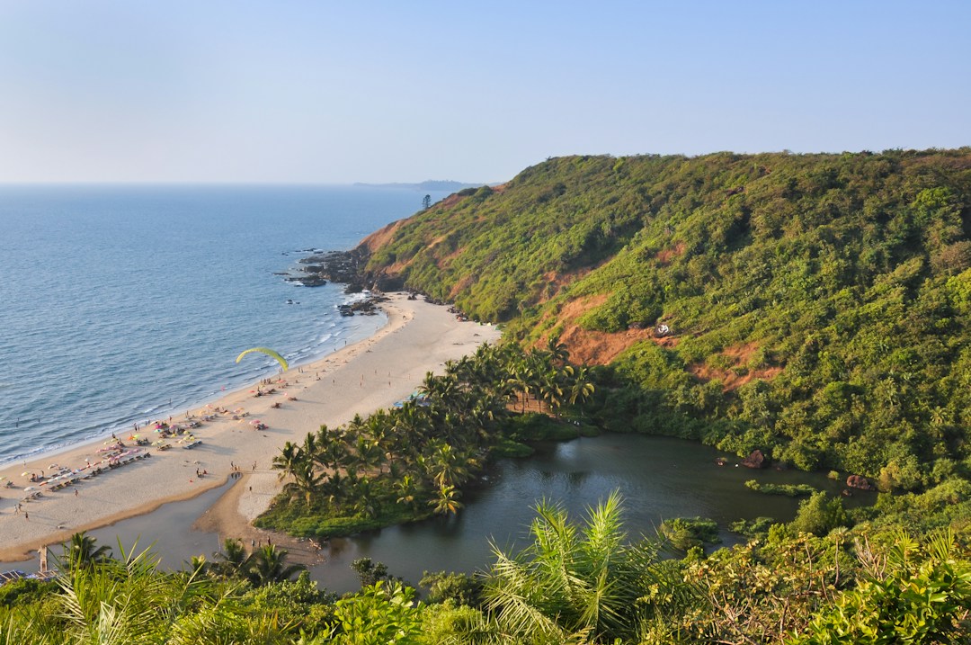 IT Services Across South Goa