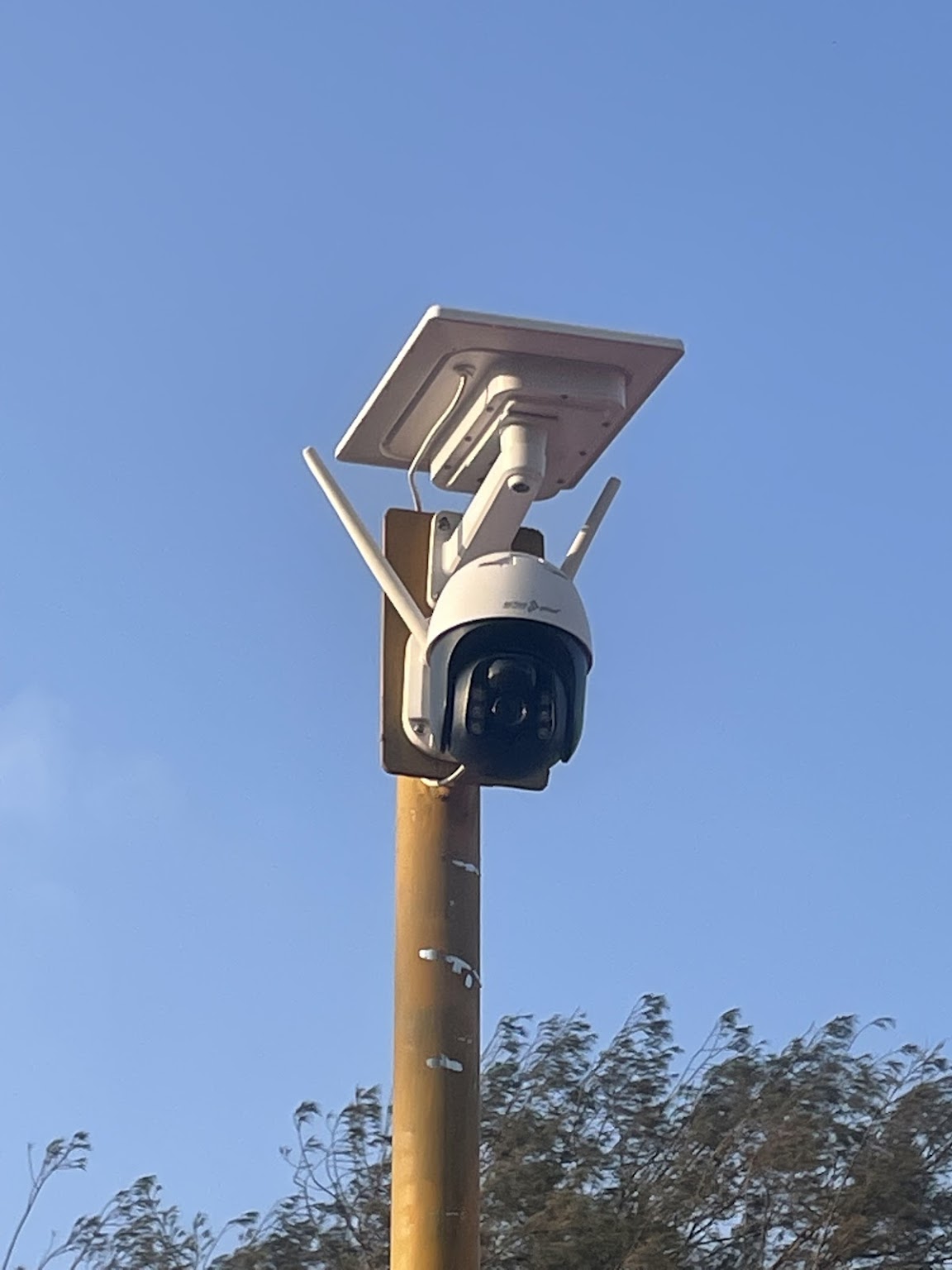 Network Monitoring